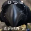 888polina888