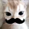 biendummotcai