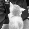 pizda_love
