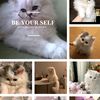 onlymacro1