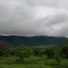 zoiiiiiiiiiiii1