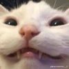 fbriawn5