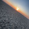 gust_vanlieshout37