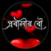 mstsadiya.12