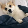 nahisthisdewdew