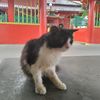 fianliciaholimang