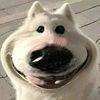 nxr_atikqh