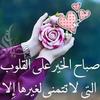 amro.amro26