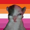 im.in.ur.walls.hehe