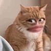 nilamchan_123