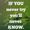 rulesforlife.you