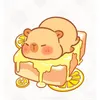 linlintoichoi0