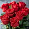 shahbaz.iqbal091