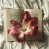 flowerpuff_l