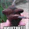 _puka_kaka_