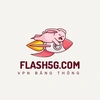 flash5g.com