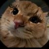 kiro_.cha_