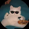leo_mpl