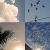 user05120115
