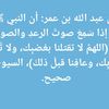 user1631461051976