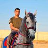 محمد أبو كرش