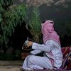 majeed2949