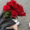 user7541156383600