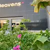 Heavens group جنائن حمورابي