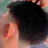 nel_12351