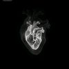 roaa.yasser71