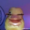 zaijennnn