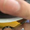 gelz2.5