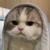 nienthi_truyenkiep