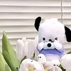 littlebutterflly456