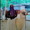 Zakira Humaira
