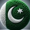 m.qais.raza