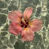 lili_kor