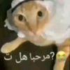 lunicoh_