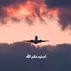 arisamanii