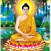 hoana227