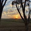 elrie.fourie