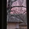 olesya2280307