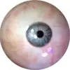 blurietheeye2