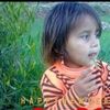 niaz.bachaa.arman
