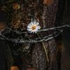 lilak.flower6