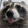 roxopurpura