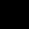rfipnsyh16