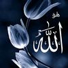user9002933617357