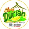 saung_durian_doro