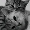 joycinha_1244